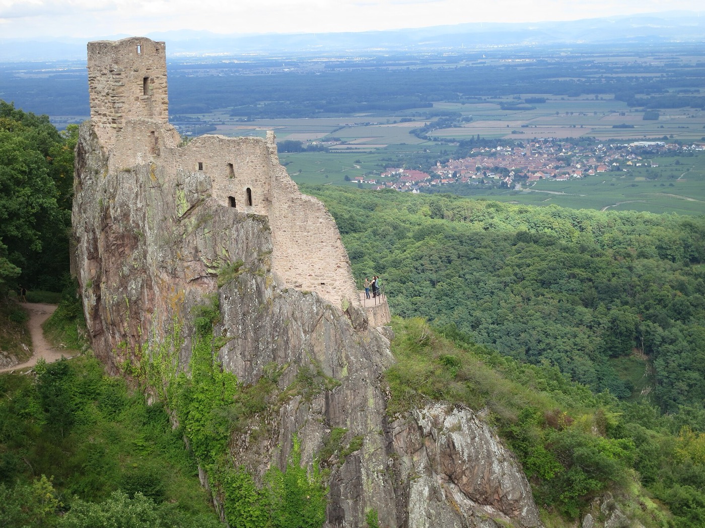 Le château du Girsberg sur son piton rocheux, plaine d'Alsace en arrière-plan