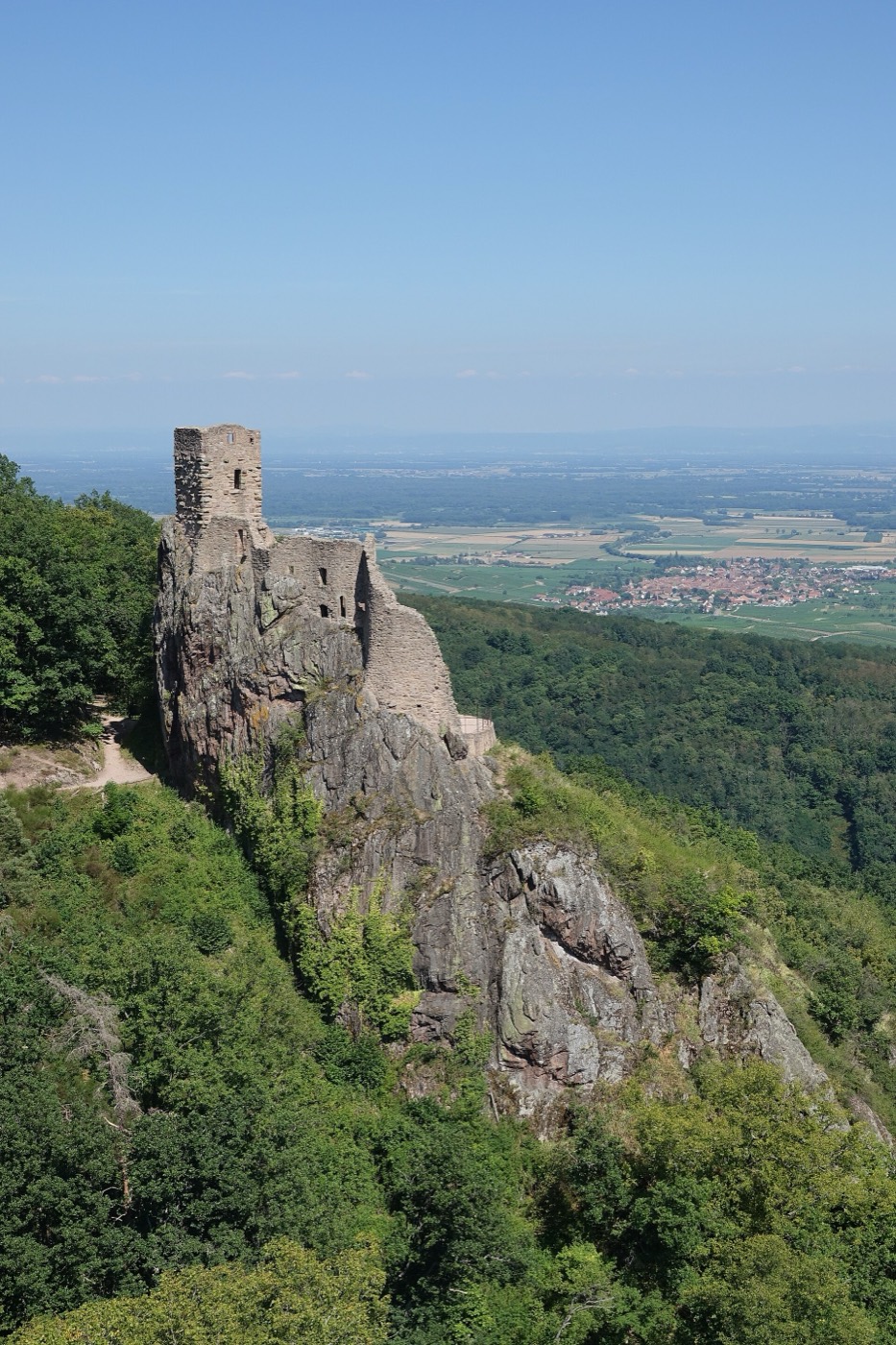 Le donjon rond du château du Haut-Ribeaupierre